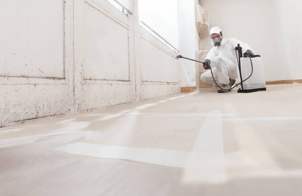 24/7 Emergency Attic Mold Remediation experts in Callao, VA